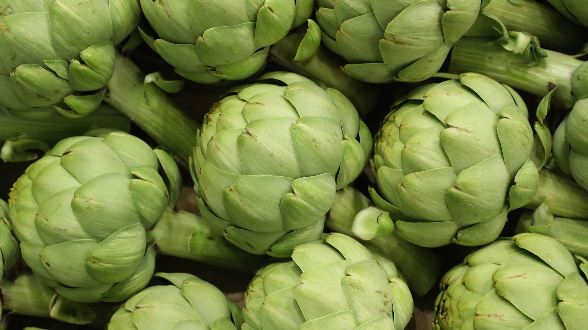 فوائد الخرشوف الصحية